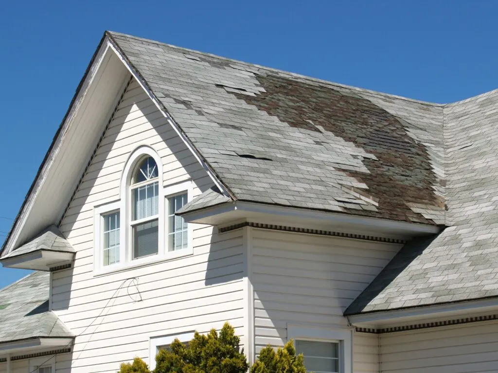 Roof